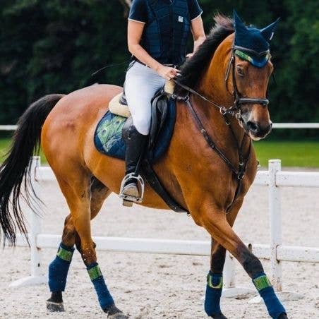 Paladin Equestrian – wholesale Ridutrustning – Påfågel fjäder Full Set1