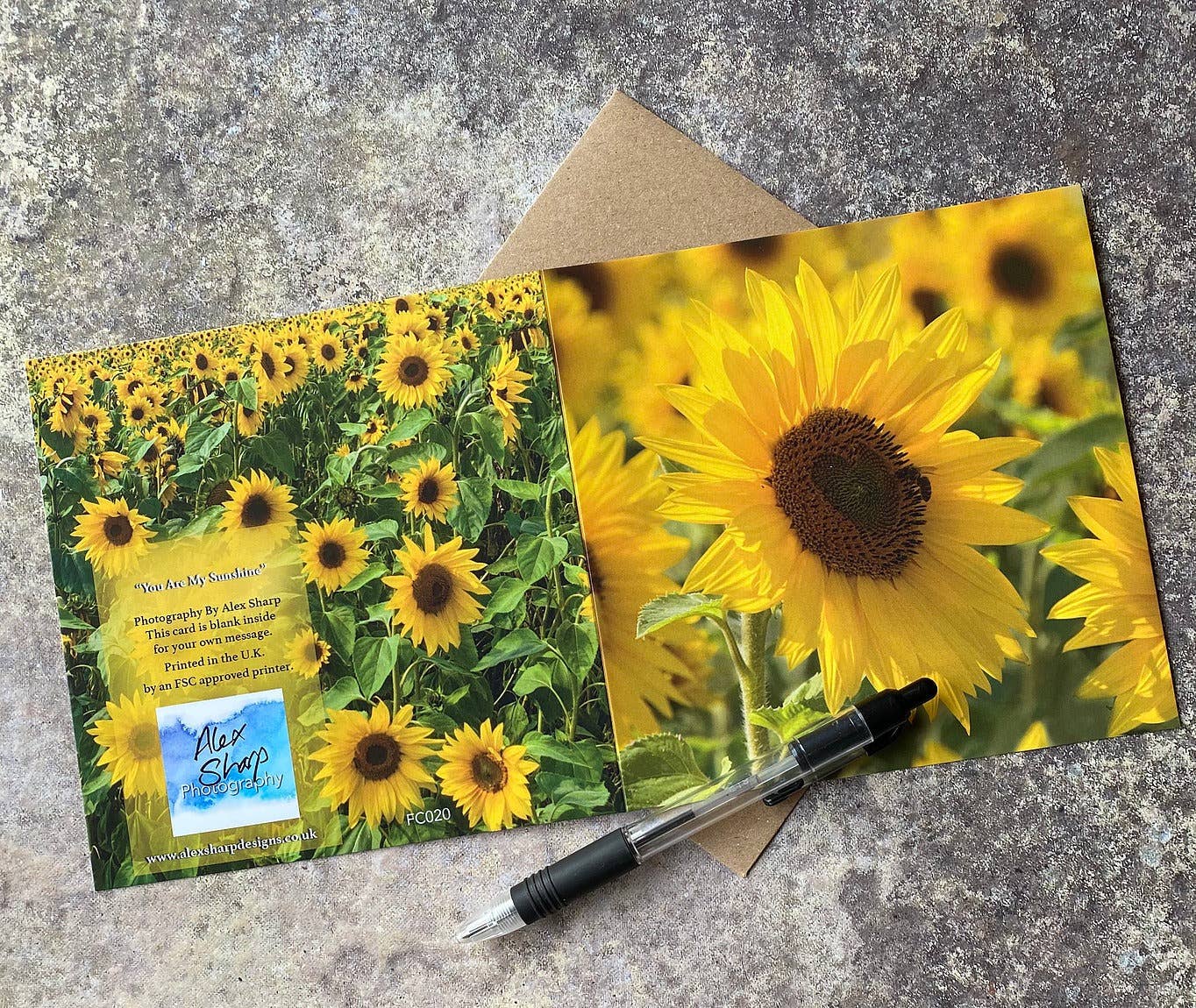 Alex Sharp – wholesale Vardagliga hälsningskort – Solros hälsningskort3
