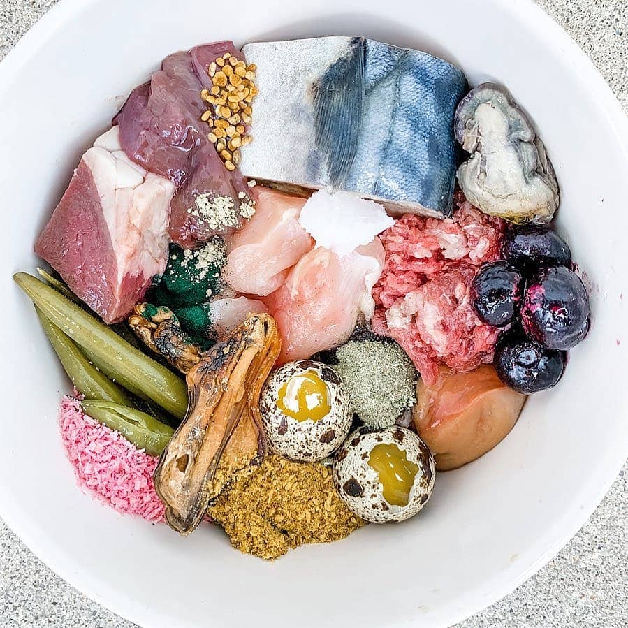 Naked Beasts, Inc. - Wholesale Pet Treats - Dog - Green Lipped Mussels (+Freeze Dried Options)5