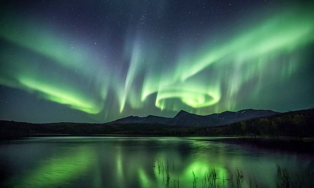 Olfactive Studio - Wholesale Perfume/Eau de Toilette - DANCING LIGHT EAU DE PARFUM1