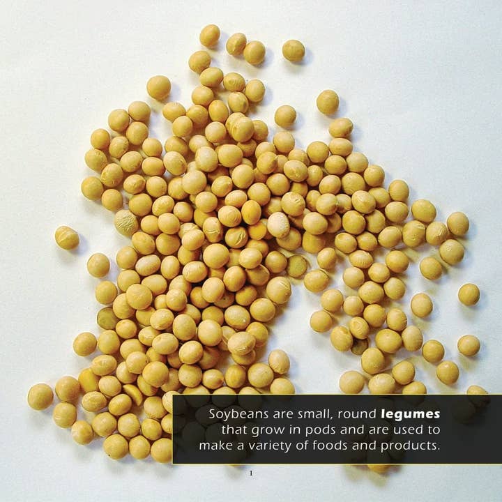 My Incredible World - Wholesale Nature & Outdoors - Soybeans! A My Incredible World Picture Book for Children1