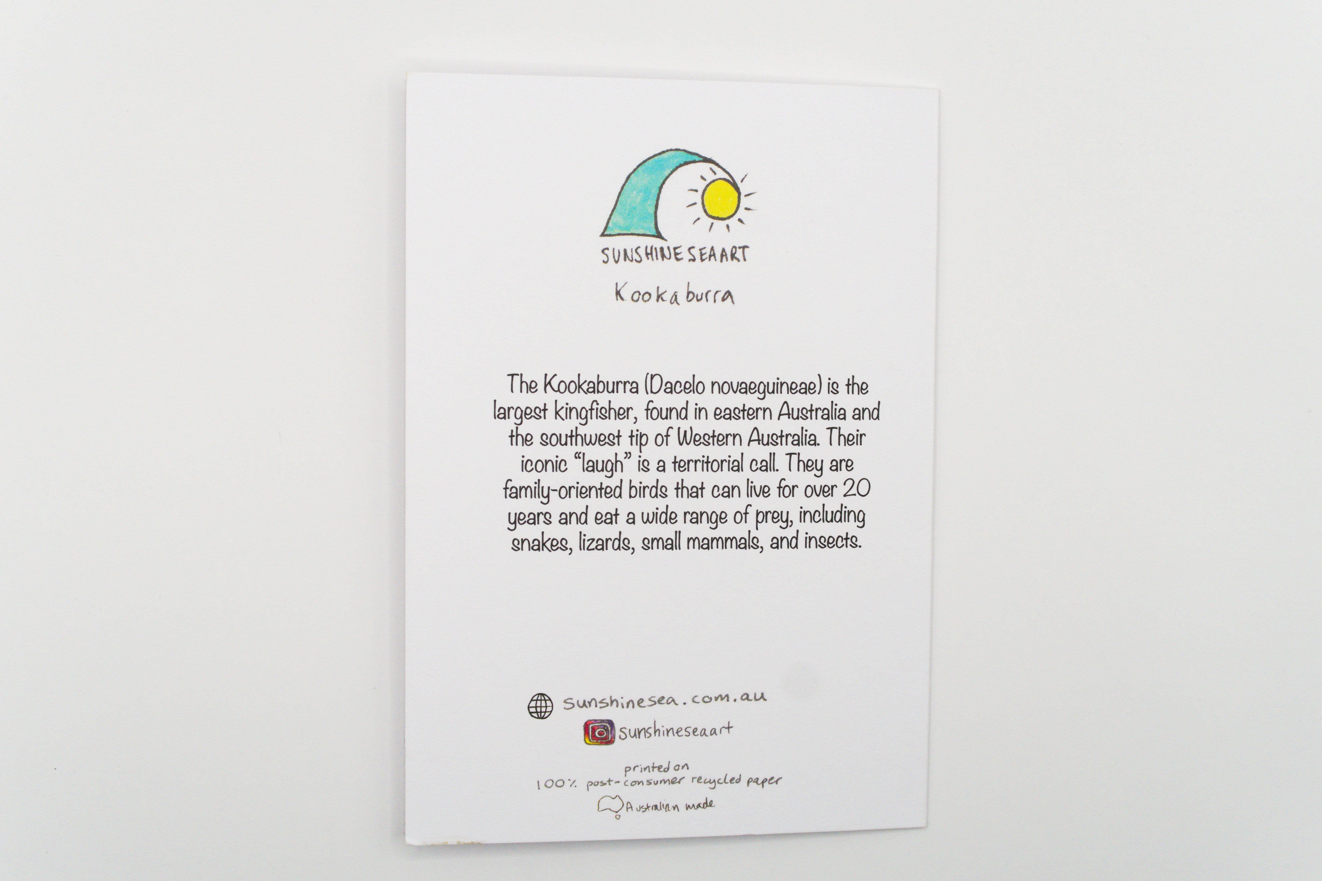 Sunshine Sea Art - Wholesale Birthday Card - Kookaburra Greeting Card Australian Bird Birthday Eco Card1