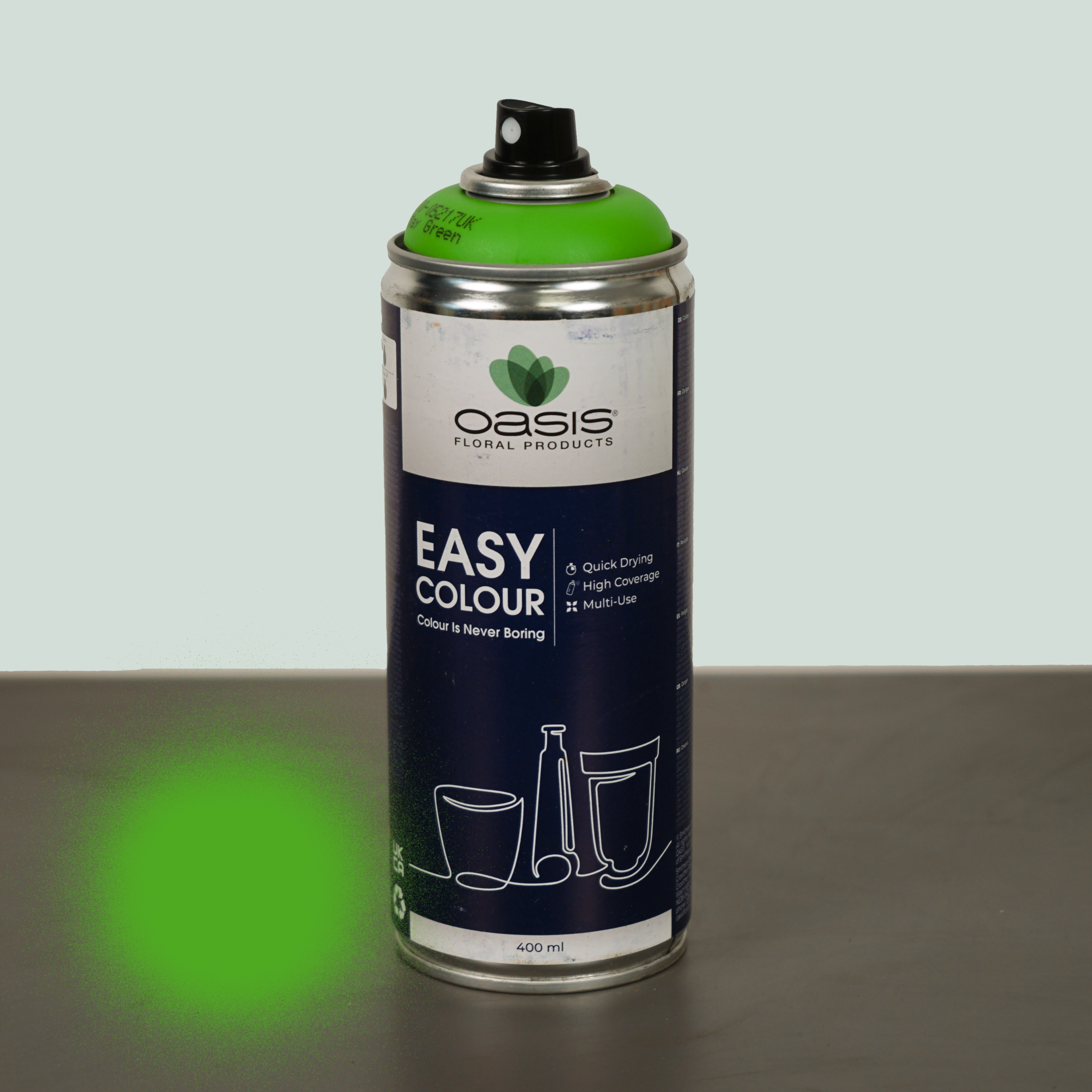 All Occasions Wholesale – wholesale Fresh cut flowers – Floral Spray Paint9