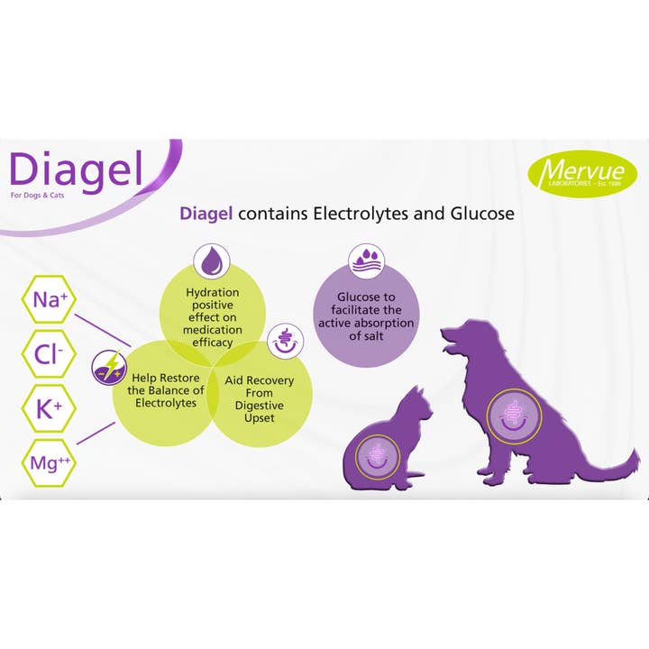 OurPetsLife - Wholesale Pet supplement – Dog - Diagel Digestive Support for Large Dogs3