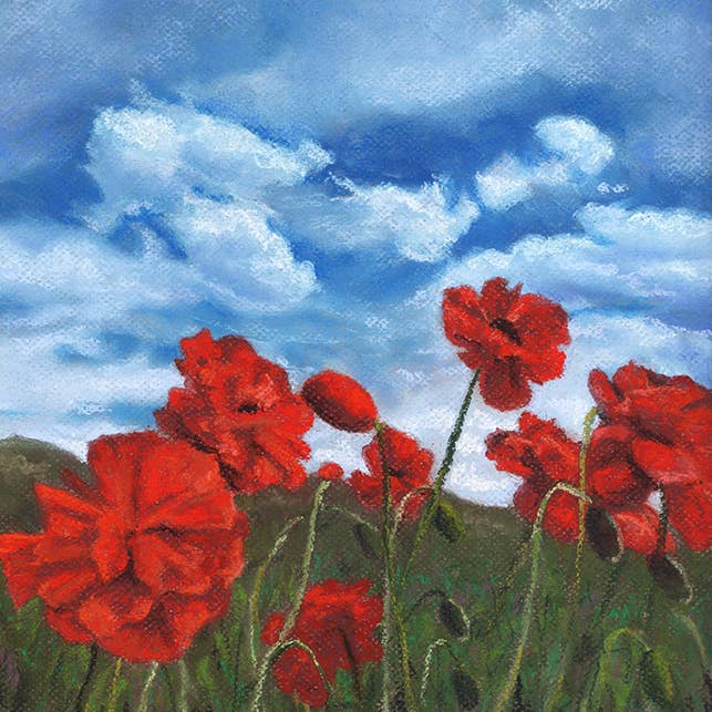 Colorado Red Poppies and Sky Art Print for wholesale by Duck Girl Art