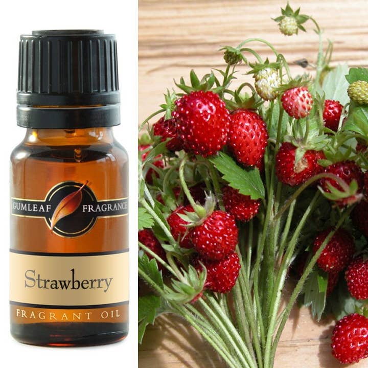 Strawberry Fragrance Oil and other Purchase Wholesale strawberry puree. Free Returns & Net 60 Terms on Faire trending on Faire.