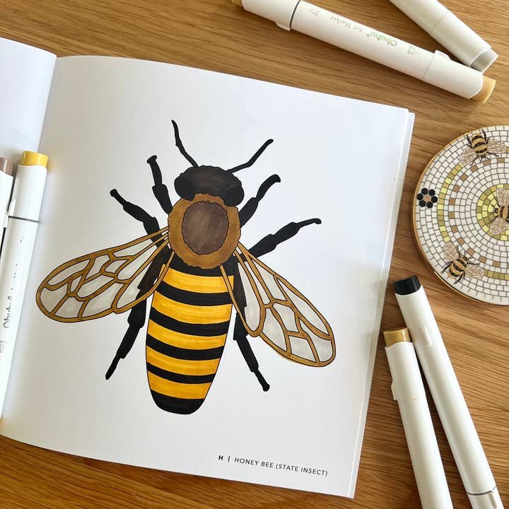 Doster Paper Co. - Wholesale Colouring and activity book – adult - North Carolina Alphabet Coloring Book W/ PERFORATED SHEETS!3