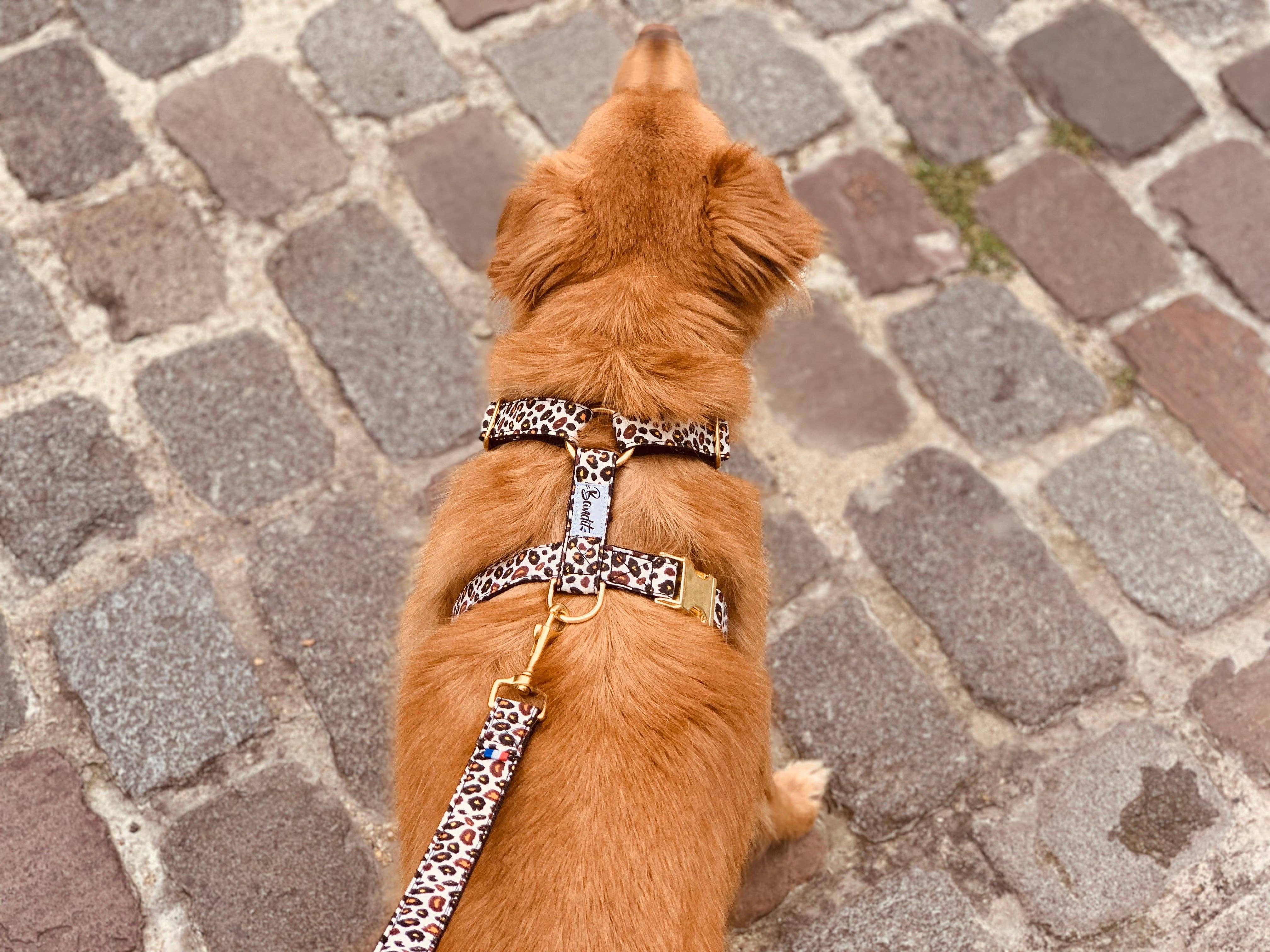 French Bandit - Wholesale Pet Harness - Dog - Leopard print dog harness1