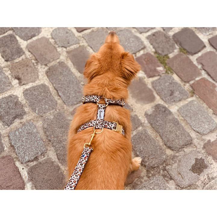 French Bandit - Wholesale Pet Harness - Dog - Leopard print dog harness1