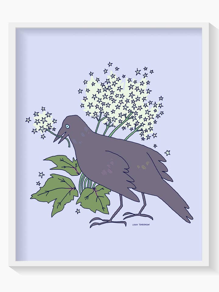 Common Grackle and Foamflower - 8x10" Print for wholesale by Lydia Tonkonow Art and Design LLC
