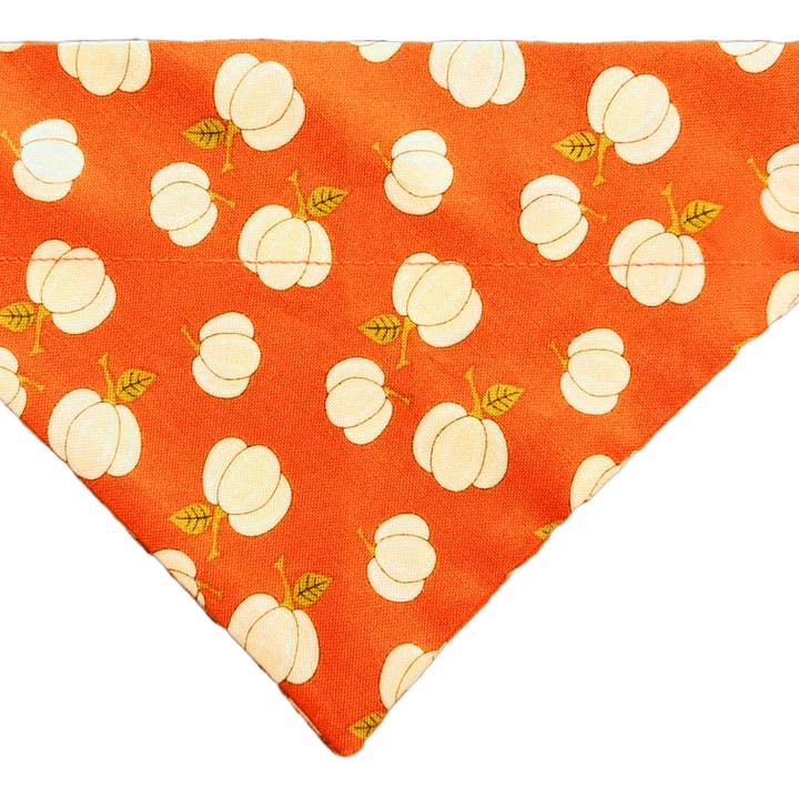 Pumpkin Spice Pet Bandana for wholesale by Mutty Mornings