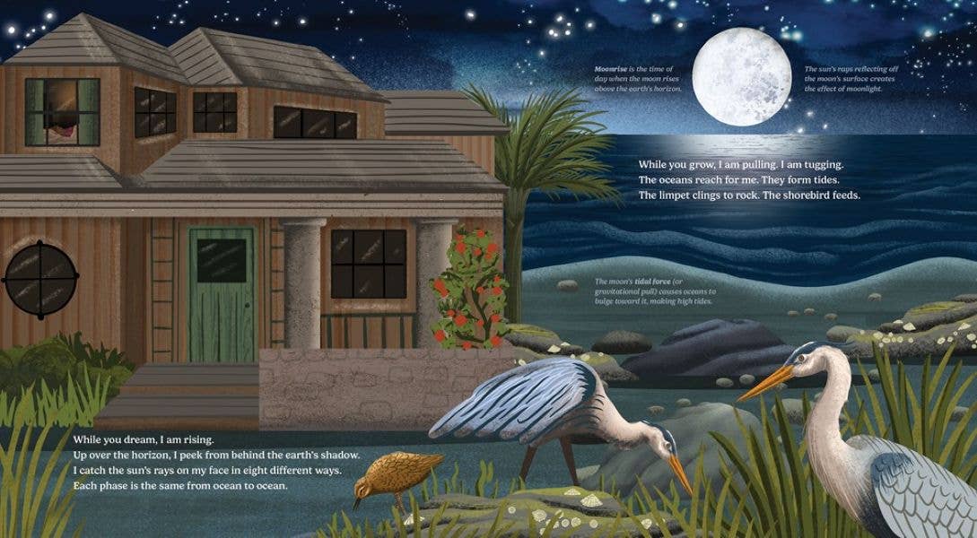 Gibbs Smith - Wholesale Nature & Outdoors Book - Wild Moon: How the Lunar Phases Light Up Our World2