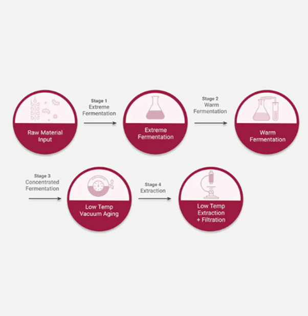 Best Beauty Group - Wholesale Facial Serum/Concentrate - MISSHA Time Revolution The First Essence 5X4