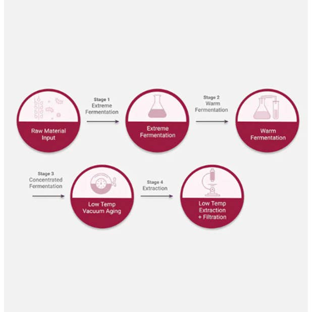 Best Beauty Group - Wholesale Facial Serum/Concentrate - MISSHA Time Revolution The First Essence 5X4