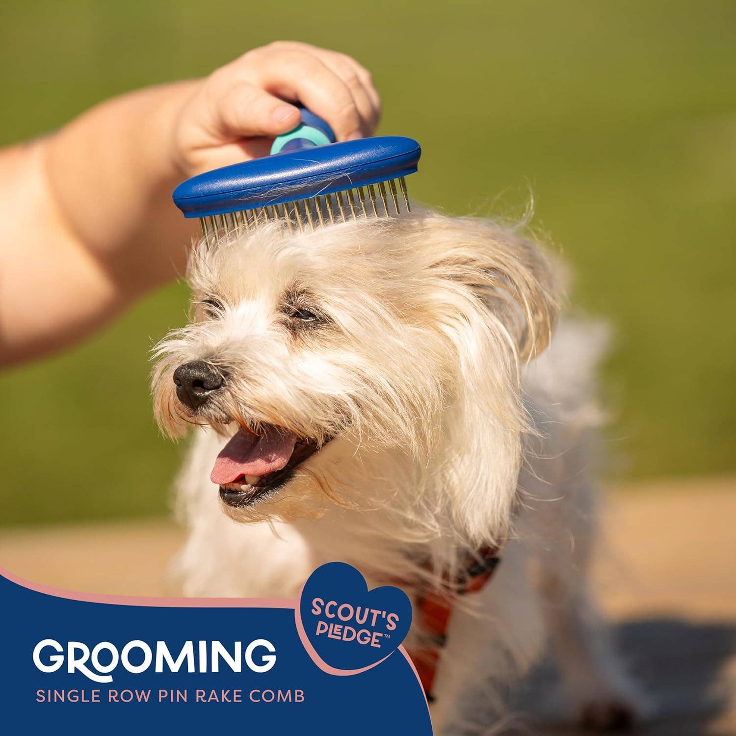 Crover - Wholesale Pet Grooming Tool - Dog - Rotating Pin Pet Hair Rake – Deshedding Tool for Pets

2