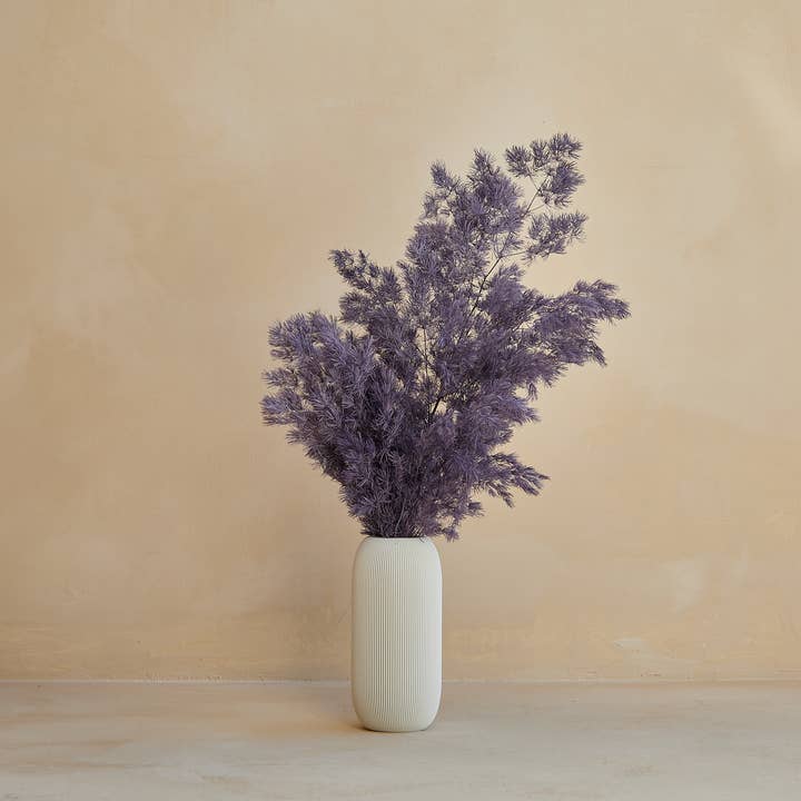 For Love Of Pampas - Wholesale Dried/Pressed Flowers - Preserved Asparagus in Purple