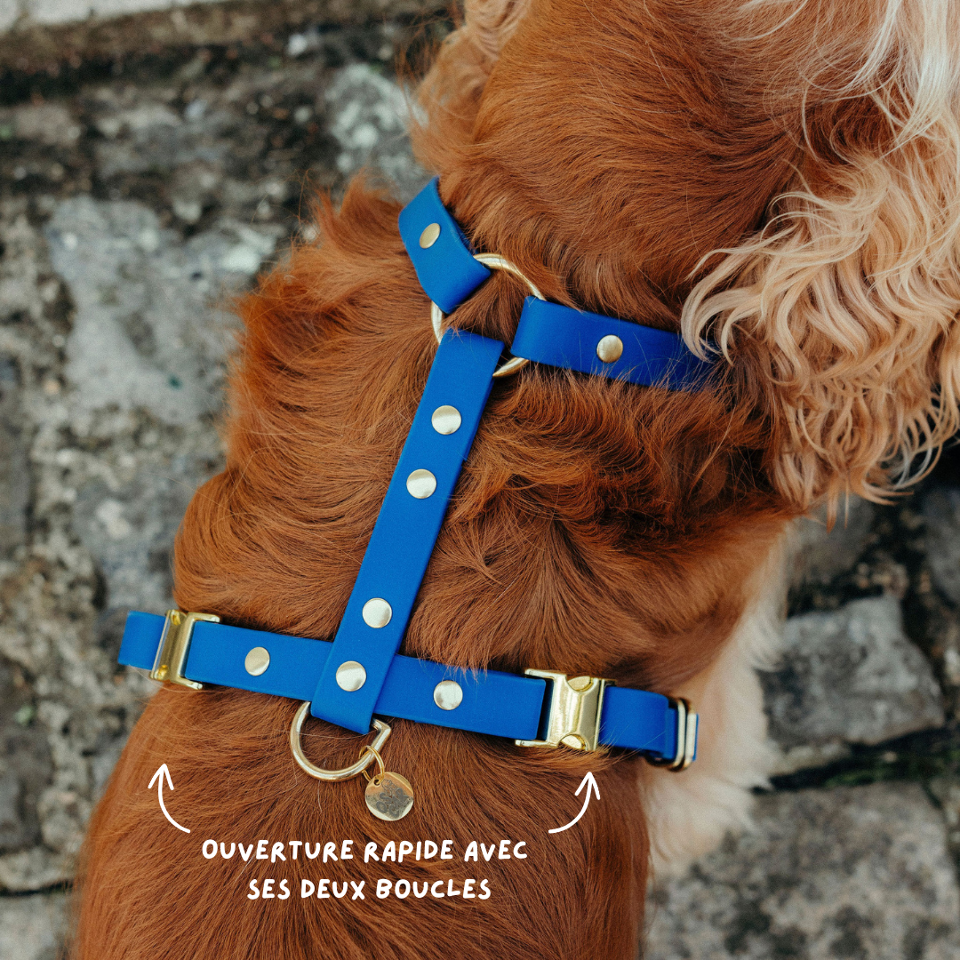 Oscar & co - Wholesale Pet Harness - Dog - Waterproof dog harness - colors of your choice1