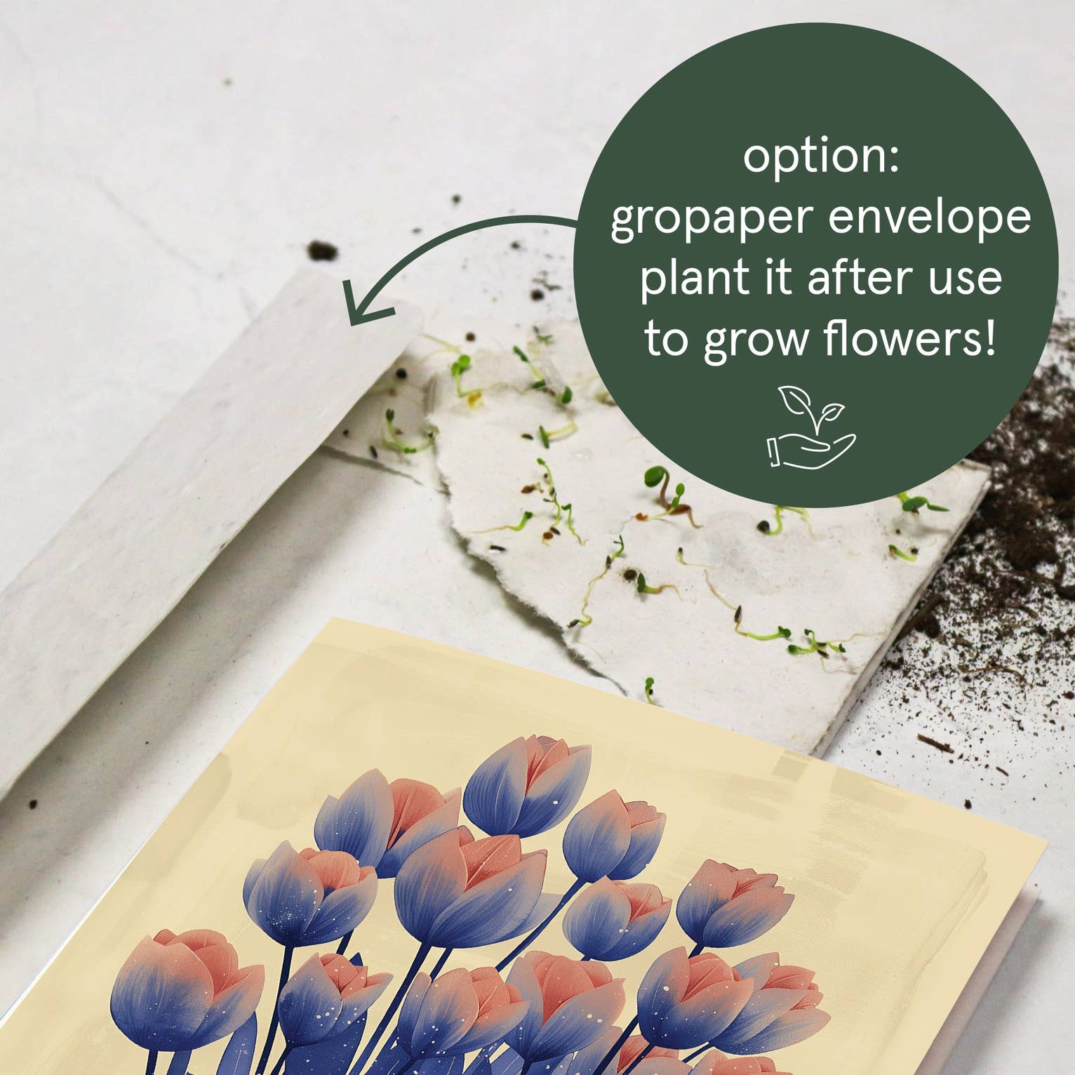 Botanopia - gifts , decor and cards for plant lovers - Wholesale Everyday Greeting Card - Greetings from Holland | Everyday Greeting Card | Dutch7