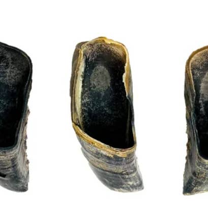 Willy's Wags Natural Pet Treats - Wholesale Pet Treats - Dog - Cow Hoof Dog Treats from South America