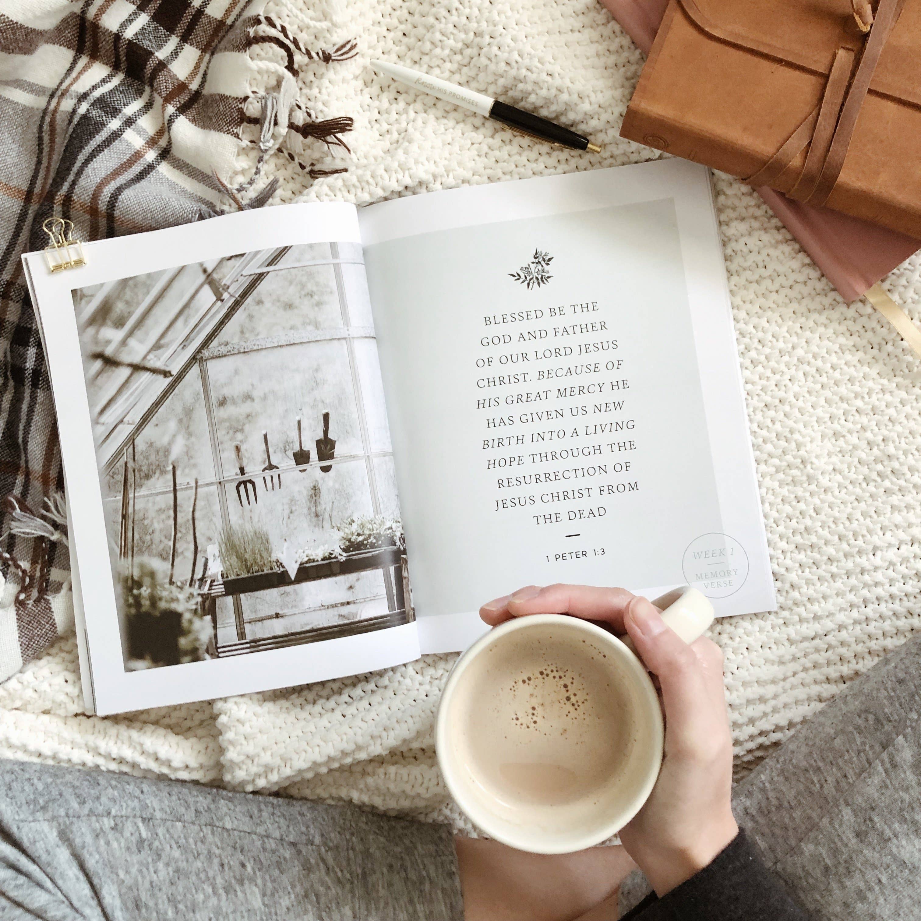 The Daily Grace Co - Wholesale Religion - Grace in the Wilderness | Study on 1 Peter10