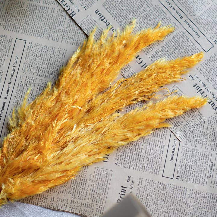 A&B Home Group Inc. - Wholesale Artificial plant - 6x2x37"H 3pc/Bag Cream Pampas Grass Cluster1