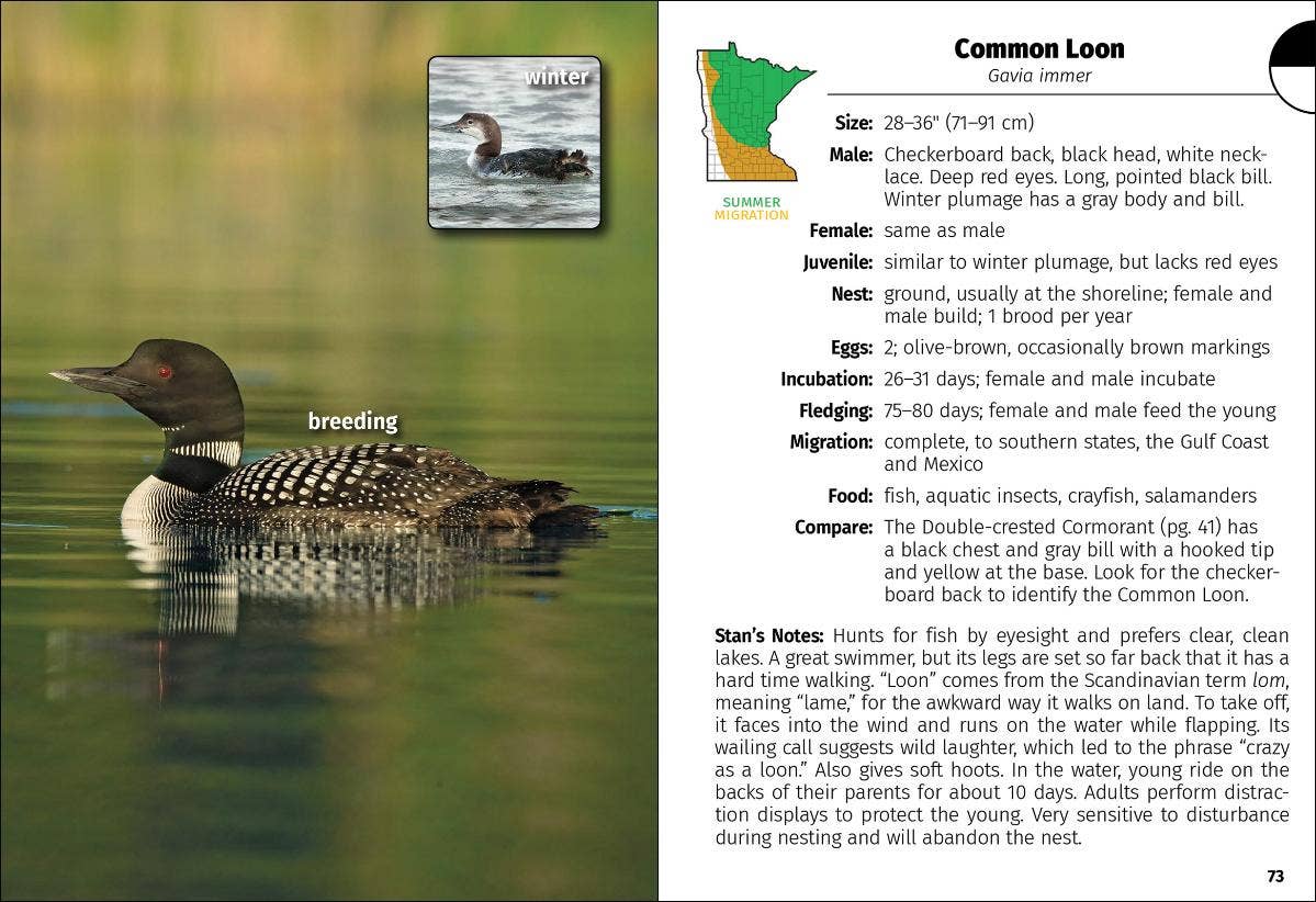 AdventureKEEN - Wholesale Nature & Outdoors - Birds of Minnesota Field Guide 3e1