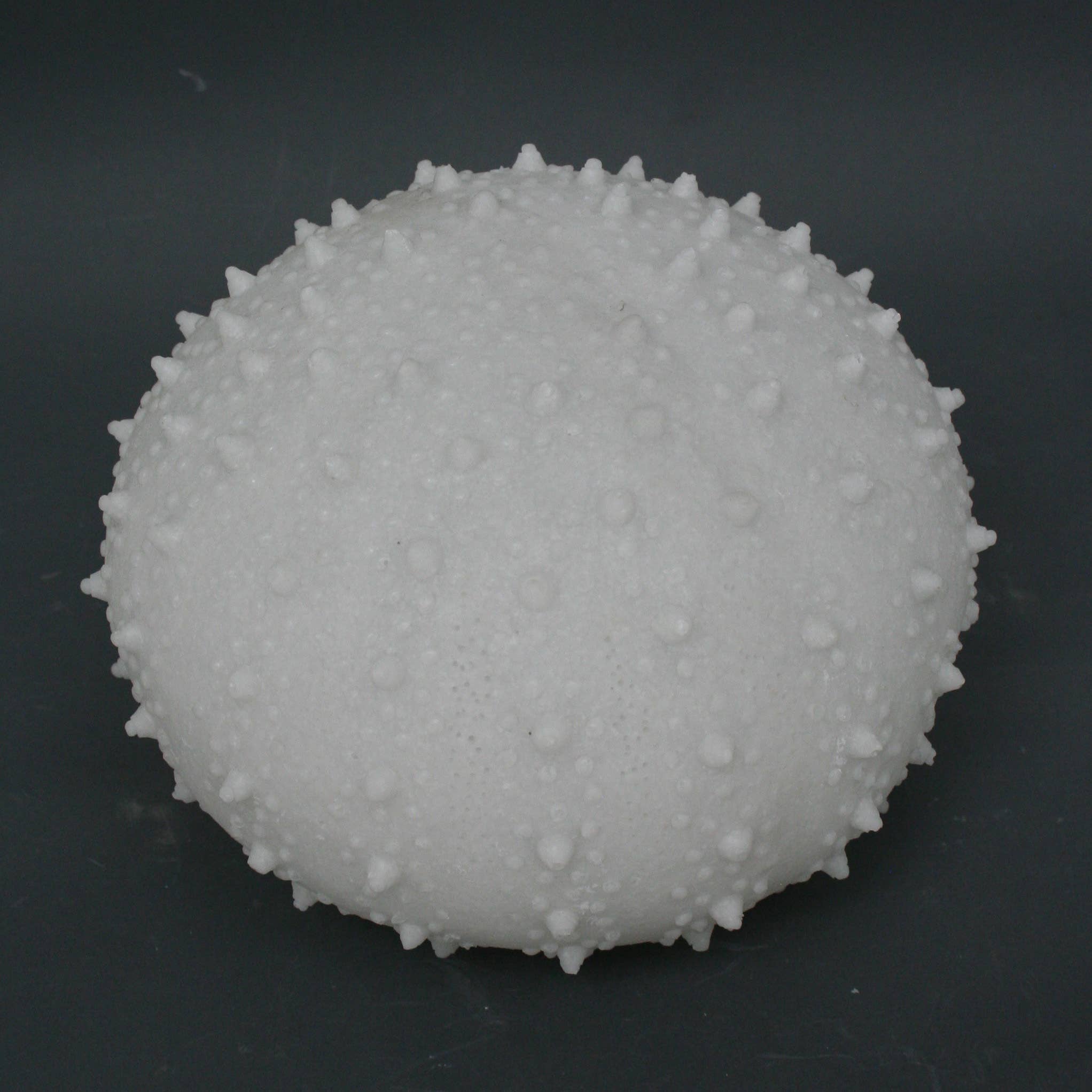 Modern Coastal by Contrast Inc. – Engroshandel Skrivebordslampe – Sandsten søpindsvin lyskasse5