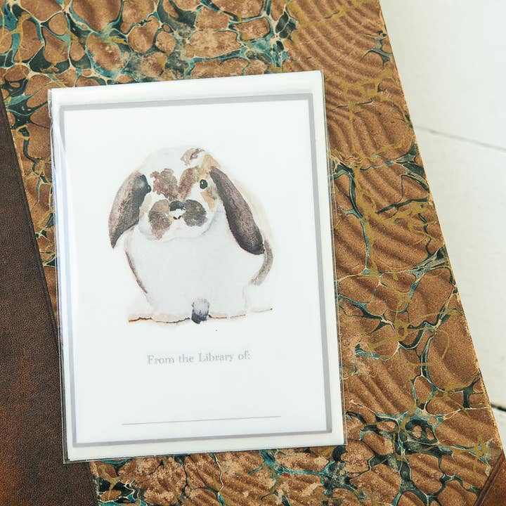 Bunny Bookplates | Ex Libris for wholesale by Finding Silver Pennies