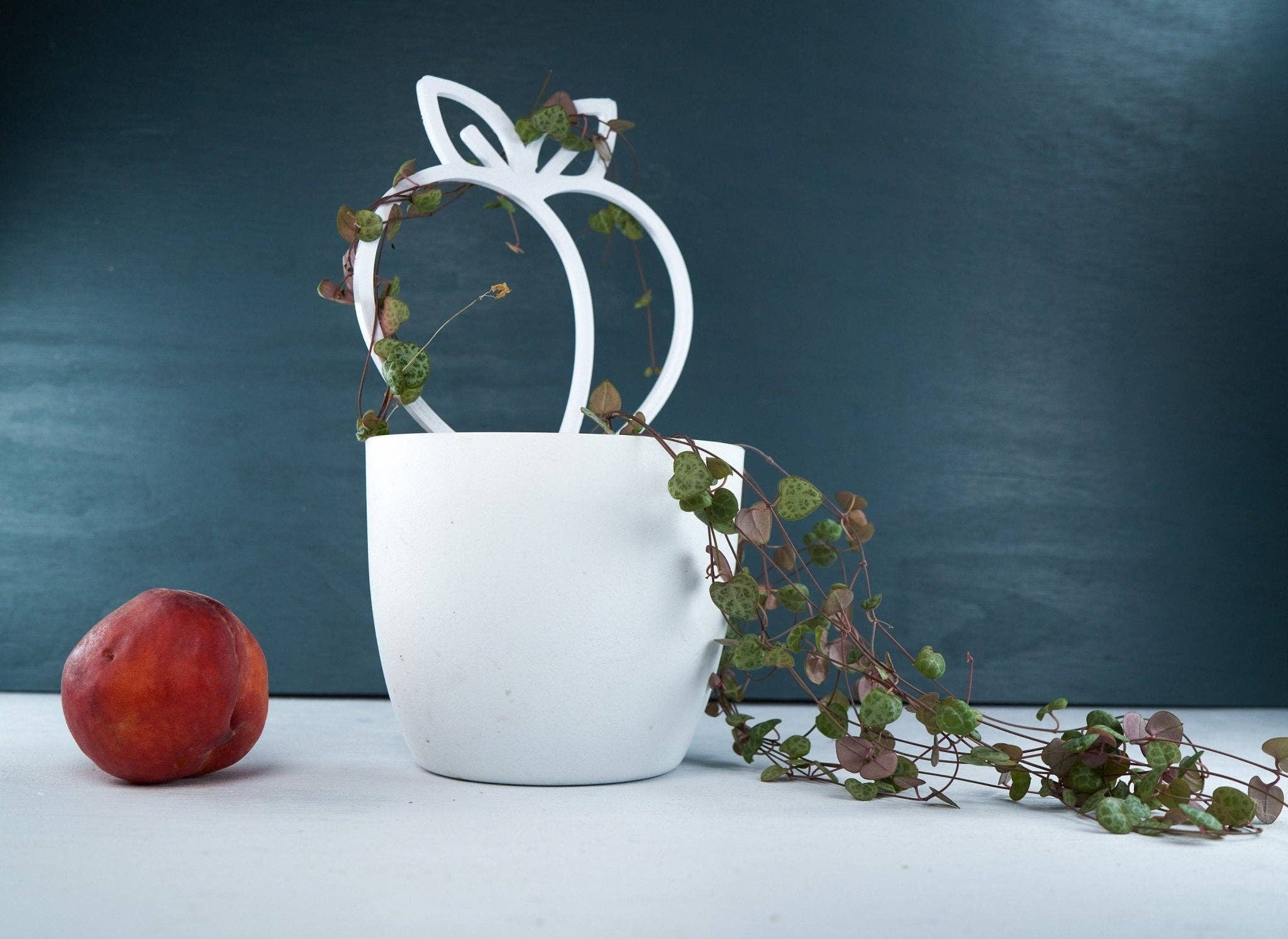 Rosebud Homegoods - Wholesale Trellis - Peach Plant Trellis for Vining Plants10