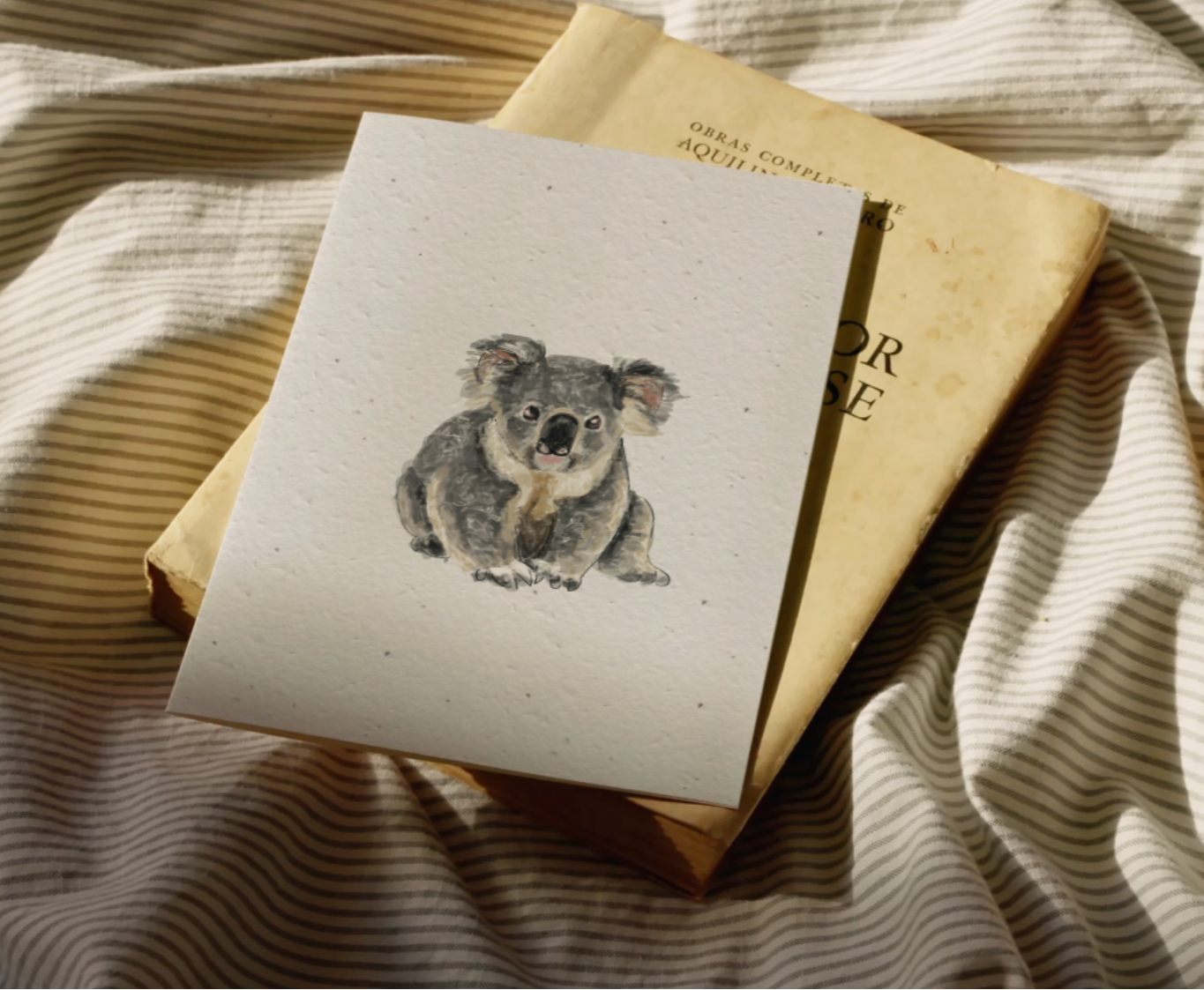 treasureinventory - Vendita all'ingrosso Biglietti di auguri generici - Icone australiane // Carte piantabili // Confezione da 27 carte3