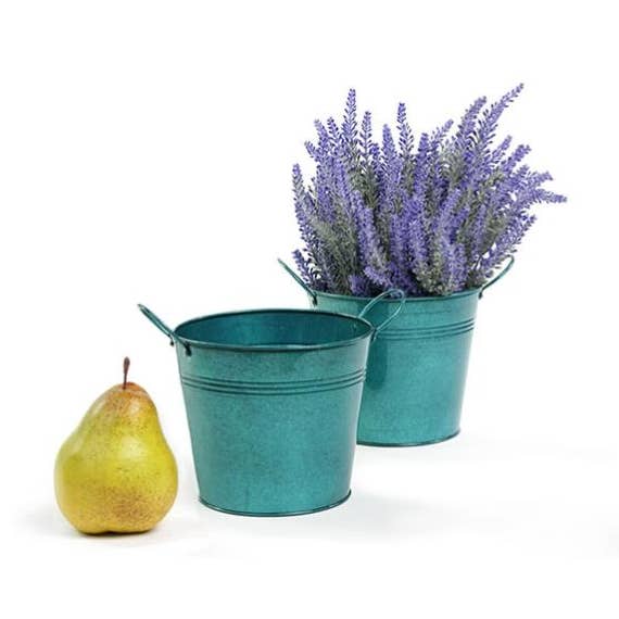 5" Tennkruka Genomskinlig Turkos för wholesale av Buhi Imports