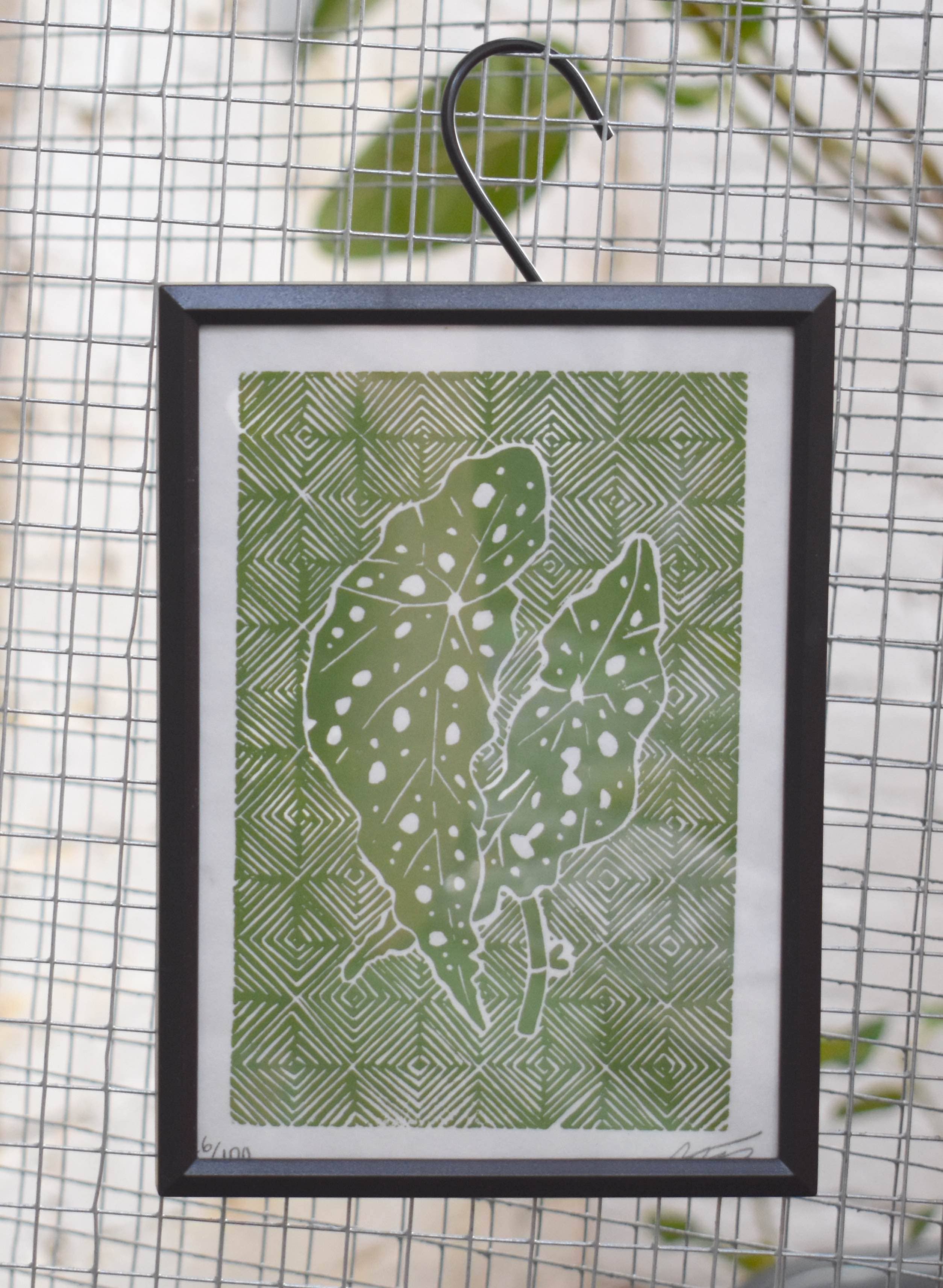 Morganite Press - Wholesale Art Print - Polka Dot Begonia (Begonia Maculata)  Linocut Print 5