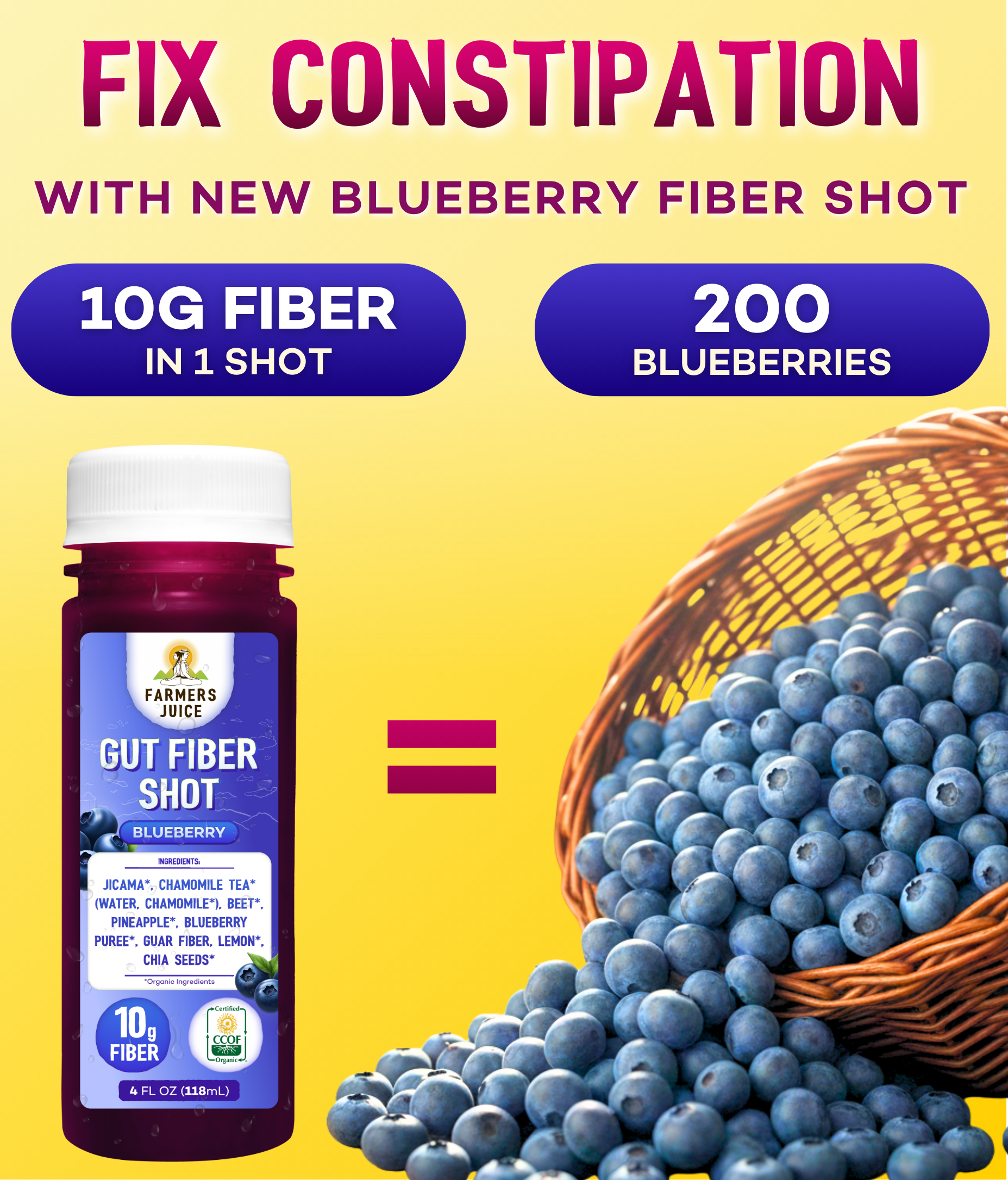 Farmer's Juice - Wholesale Wellness Juice/Tonic - Gut Fiber Shot Blueberry | 24 Shots2