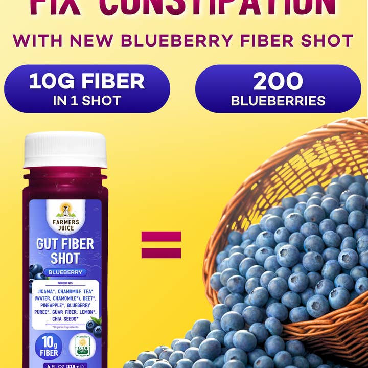 Farmer's Juice - Wholesale Wellness Juice/Tonic - Gut Fiber Shot Blueberry | 24 Shots2