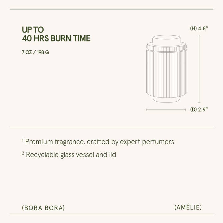 La Jolie Muse - Wholesale Jar/Filled Candle - Scented Candle - Bora Bora - 7oz | La Jolie Muse5