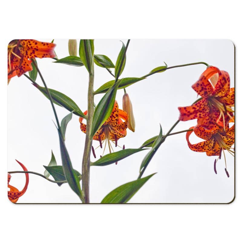 Gregory Dennis Design - Wholesale Placemat - 6 Floral Placemats  - Lilium2
