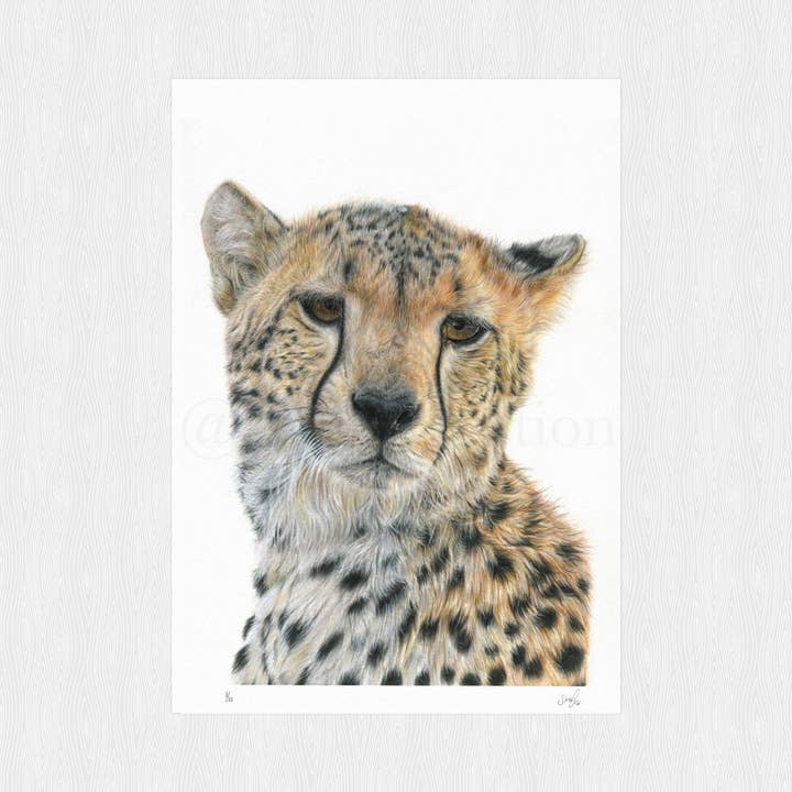 Cheetah Print-Wildlife Art-African Art-Animal Painting for wholesale by Svhillustration