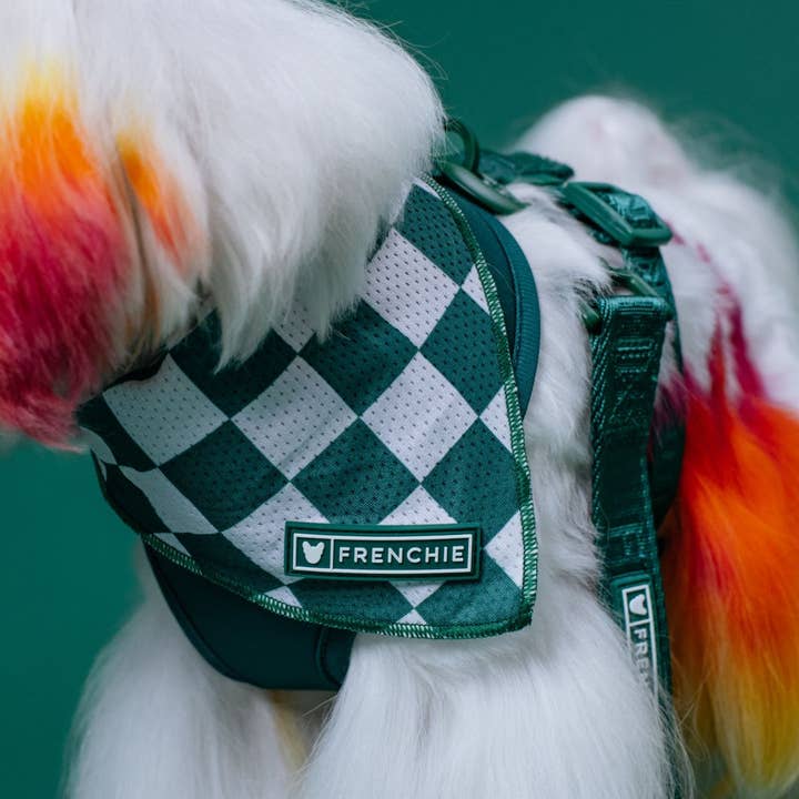 Frenchie - Wholesale Pet bandana – Dog - Frenchie Cooling Bandana - Emerald City2