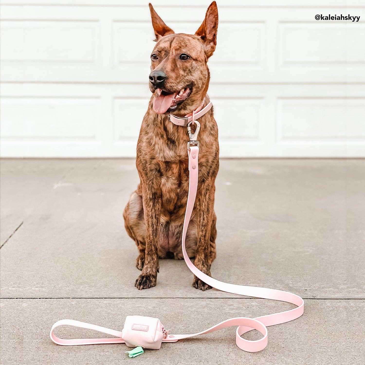 Lucy & Co. - Wholesale Pet Poop Bag Dispenser - Rosewater Poop Bag Holder1