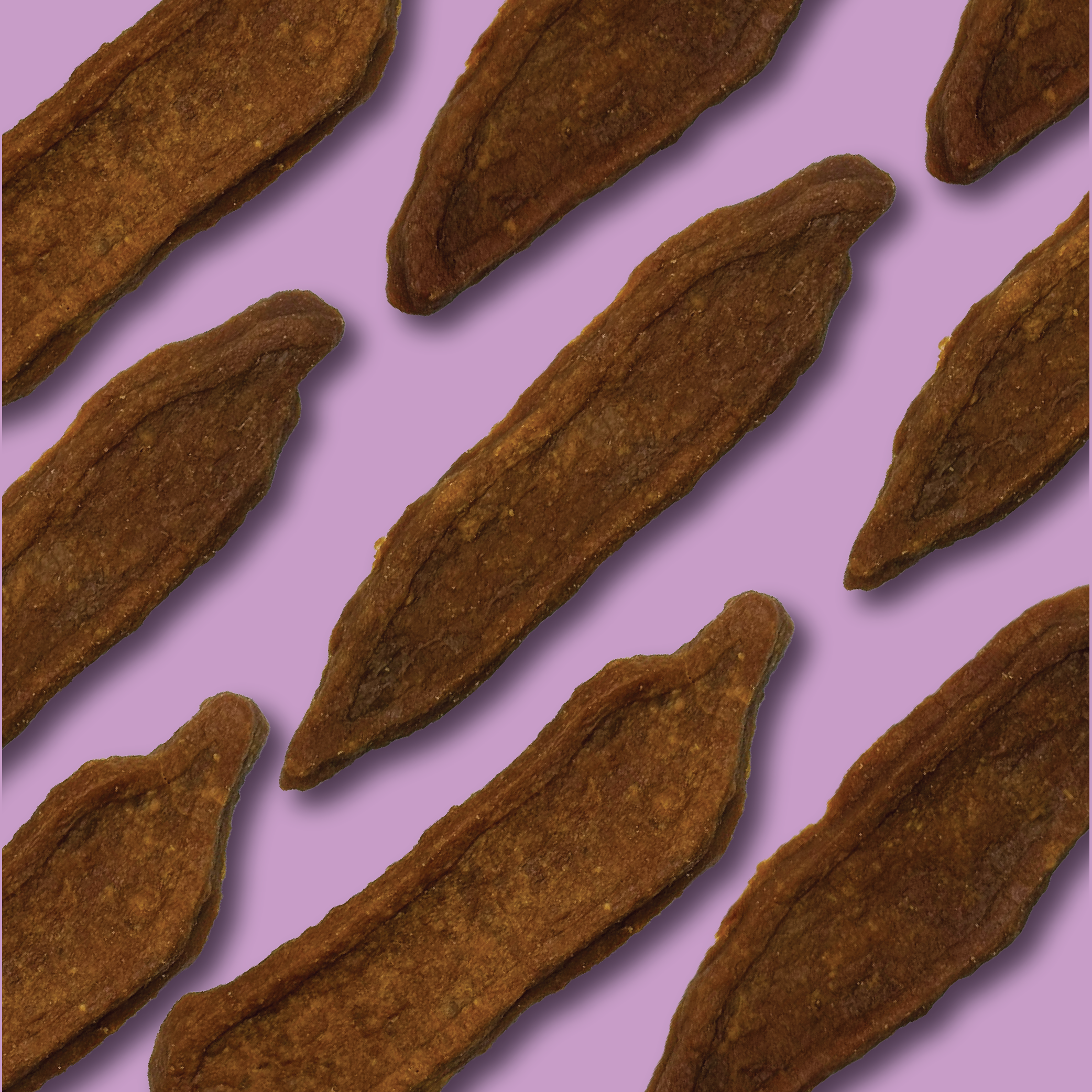 Table Scraps - Wholesale Pet Treats - Dog - Glad Wags Chicken Jerky - 8oz3