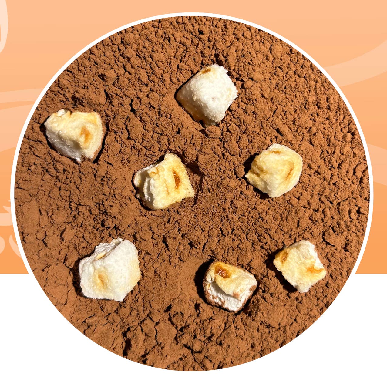 Le petit maître - Wholesale Hot Cocoa Mix/Kit - Cocoa powder & caramel marshmallow2