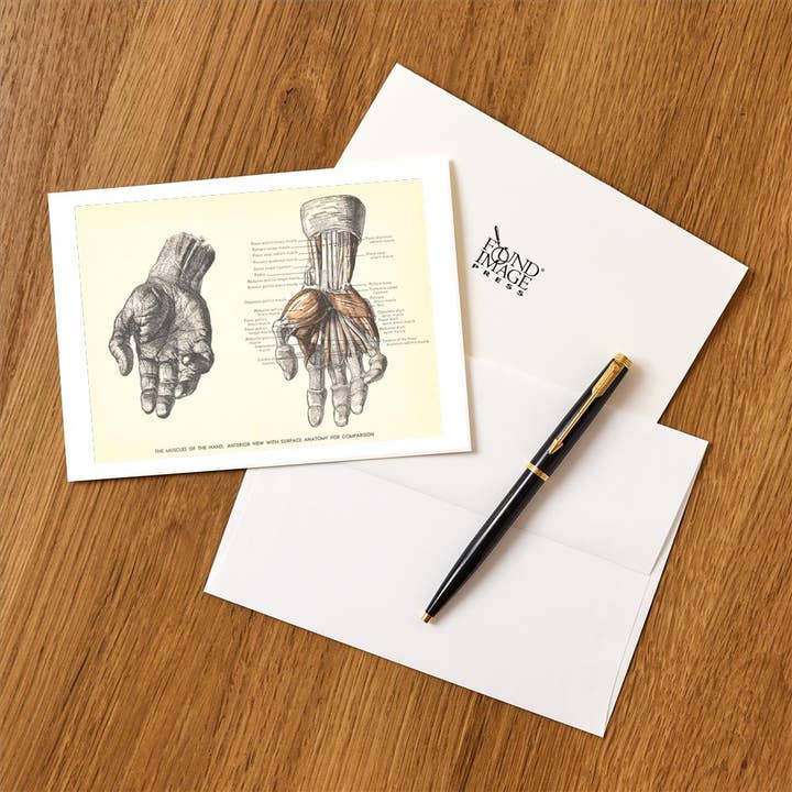 Found Image Press – wholesale Kontorsmateriel/Notecard Set – Gratulationskort AY-111 Handens muskler