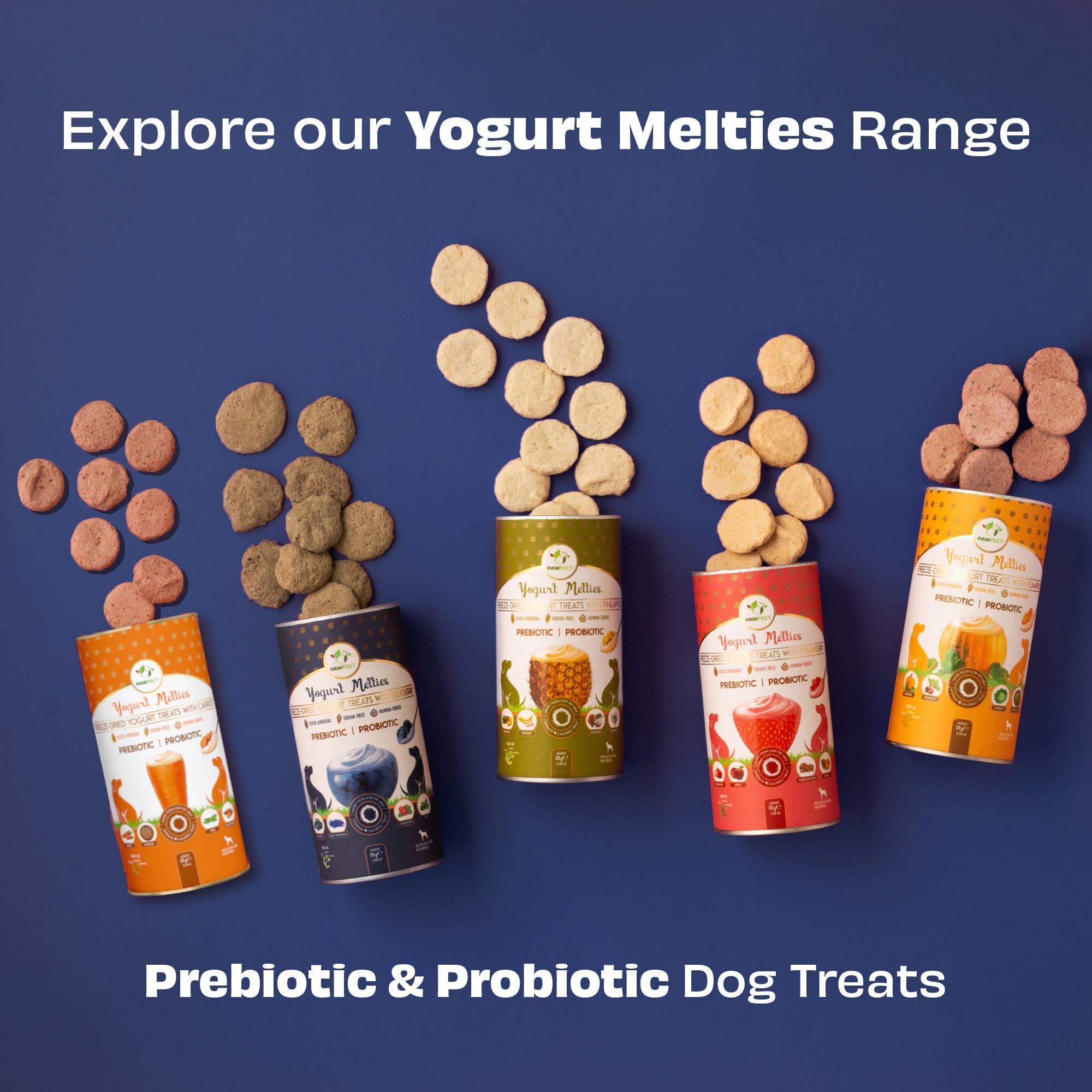 Pawfect Foods - Vendita all'ingrosso Snack - Cani - Pawfect Yogurt Melties Pre e Probiotici per Cani con Mirtillo, Mirtillo Rosso, Spirulina Blu e Menta | Intestino Sano | Basse Calorie | Senza Cereali e Glutine | Ricompensa o Snack per l'Addestramento (38g/1.34oz)6