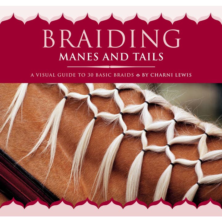 Braiding Manes and Tails for wholesale by Hachette Book Group
