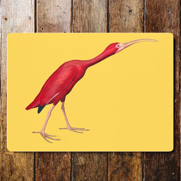 Scarlet Ibis botanical illustration John Audubon Metal Sign for wholesale by The British Metal Signs Company