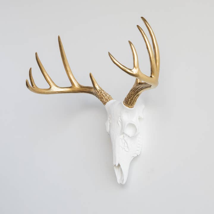 Near and Deer - Wholesale Wall Accent - Faux Mini Buck Skull Wall Mount13