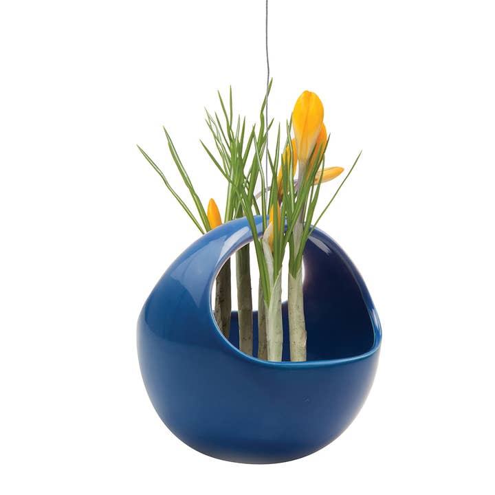 Chive - Vente Jardinière suspendue - Suspension pour plantes grasses1
