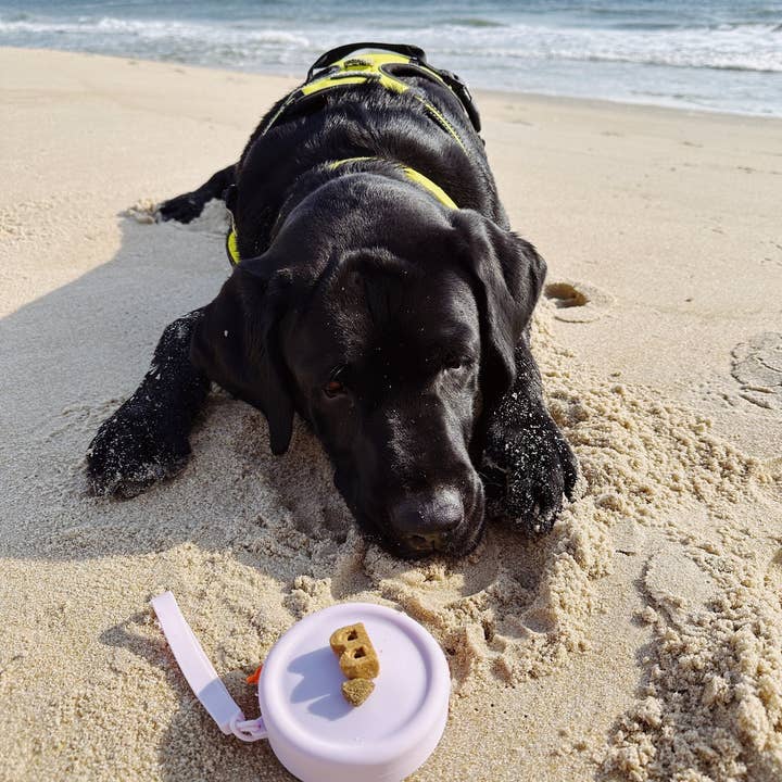 Walking Paws Boutique - Wholesale Pet Treat Pouch - Cat/Dog - Small silicone waterproof dog treat pouch, attach to leash
