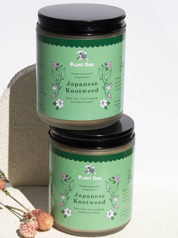 Japansk pileurt pulver for engroshandel hos Plant Dog LLC