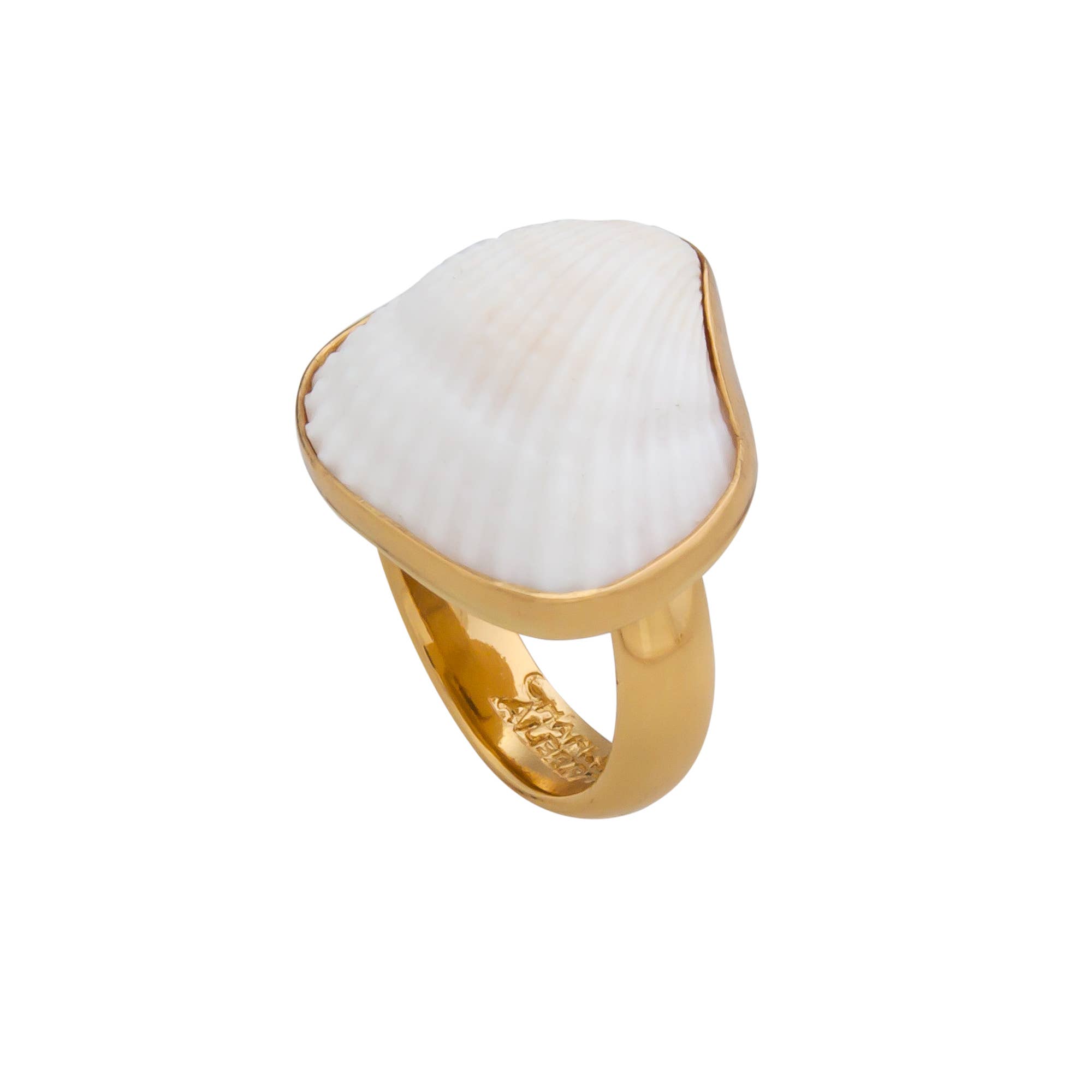 Charles Albert Inc - Wholesale Cocktail/Statement Ring - Alchemia Ark Shell Adjustable Ring2